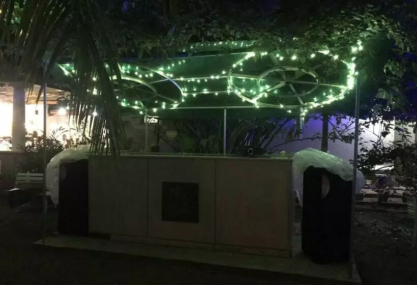 ペンション Lala Land Guest House And Camping Site