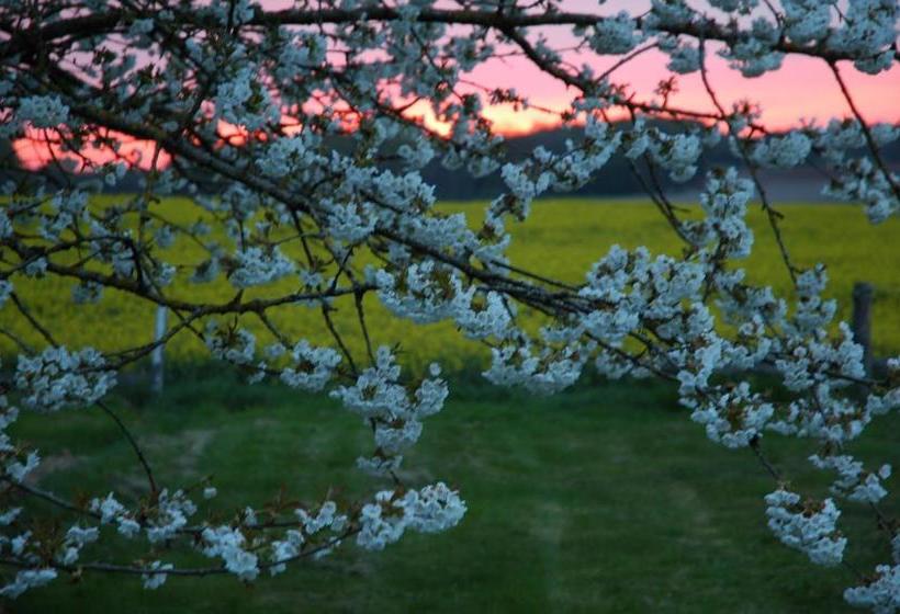 مبيت وإفطار Pause Ethique Home