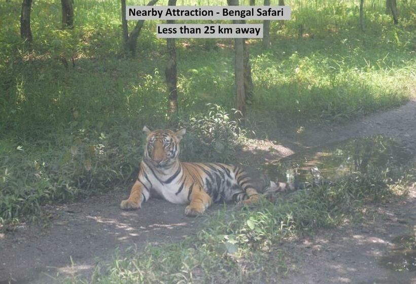 هتل Oyo 15721 Simrat