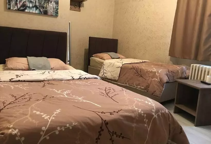 Saray Otel Pansi̇yon