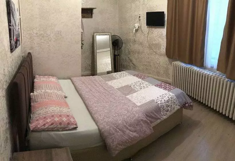 Saray Otel Pansi̇yon