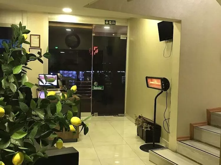 Saray Otel Pansi̇yon