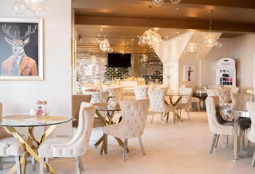 The Feather S Hotel Newquay