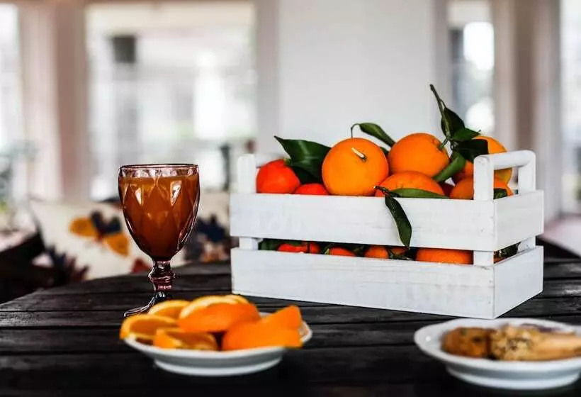 ベッドアンドブレックファースト La Foresteria Di Maestina