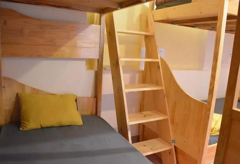 پانسیون Dora Hostel