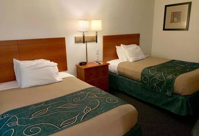 Comfort Motel