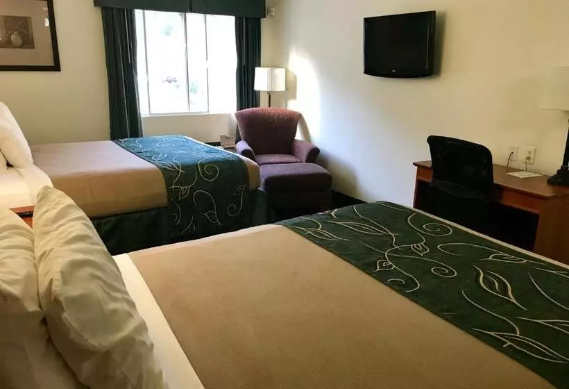 Comfort Motel