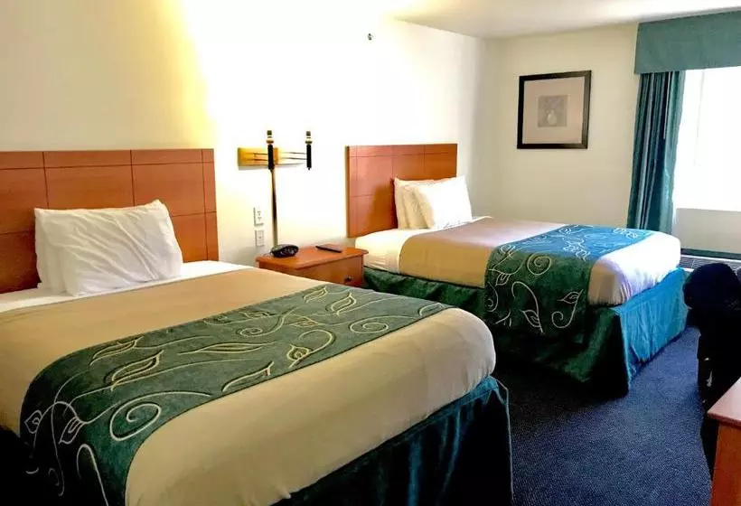 Comfort Motel