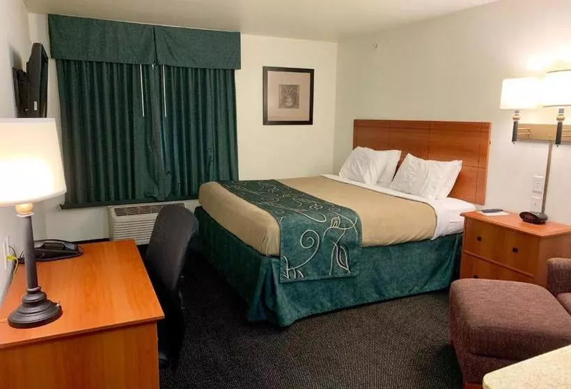 Comfort Motel
