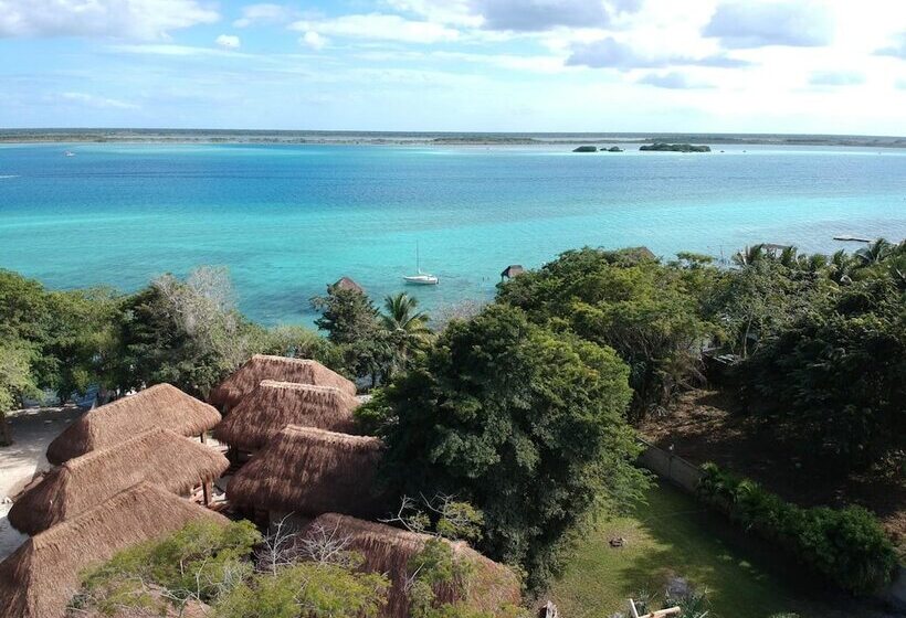 فندق Carolina Bacalar