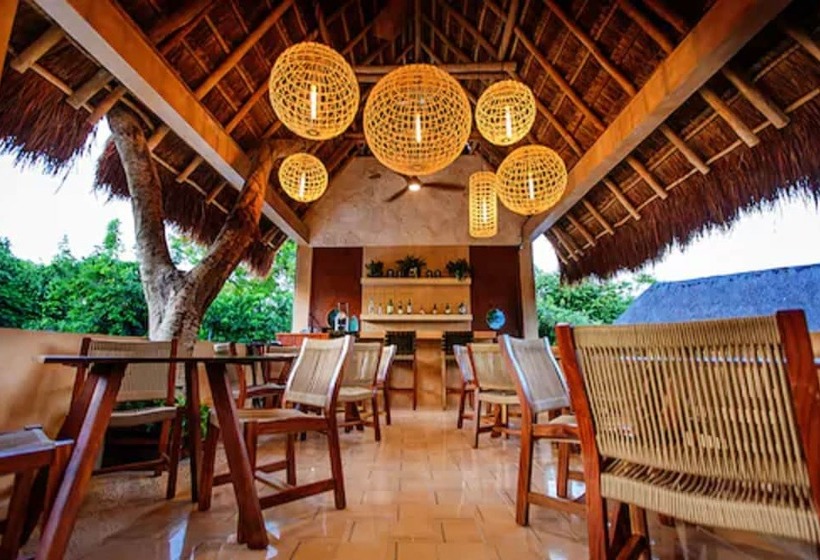 فندق Carolina Bacalar