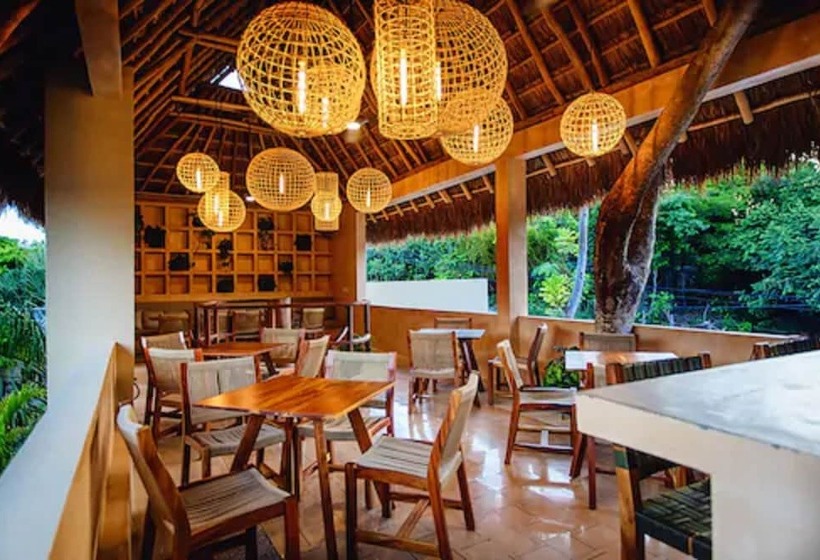 فندق Carolina Bacalar