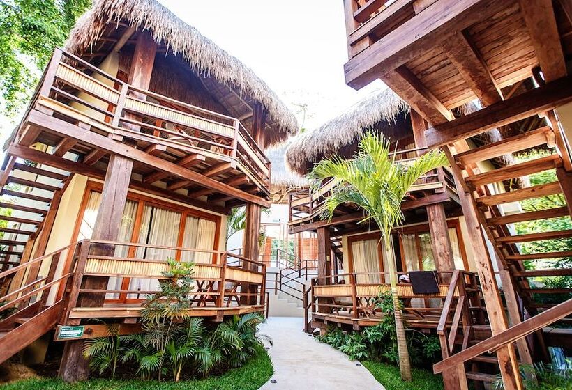 فندق Carolina Bacalar