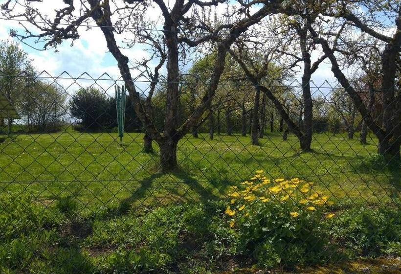 Hospedaria Gasthaus Zum Goldenen Roß