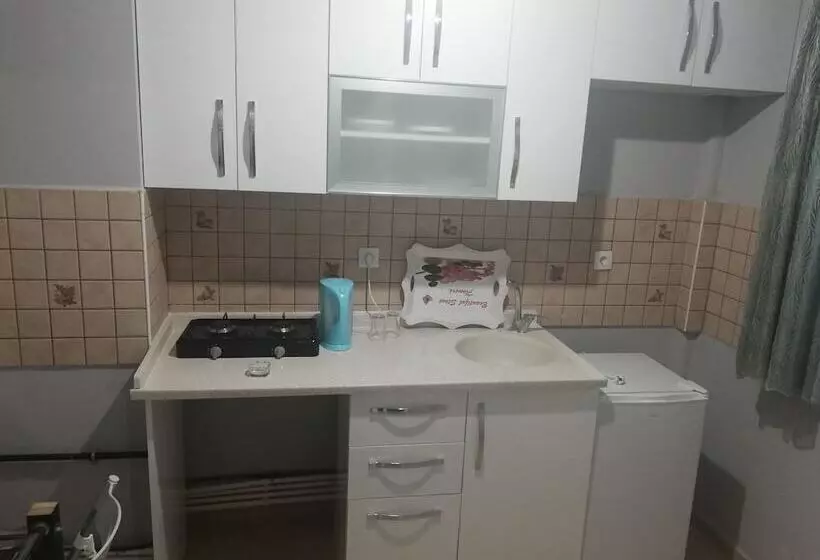New House