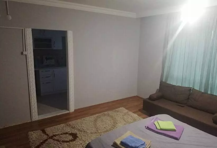 New House