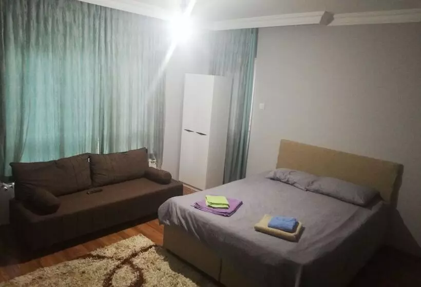New House