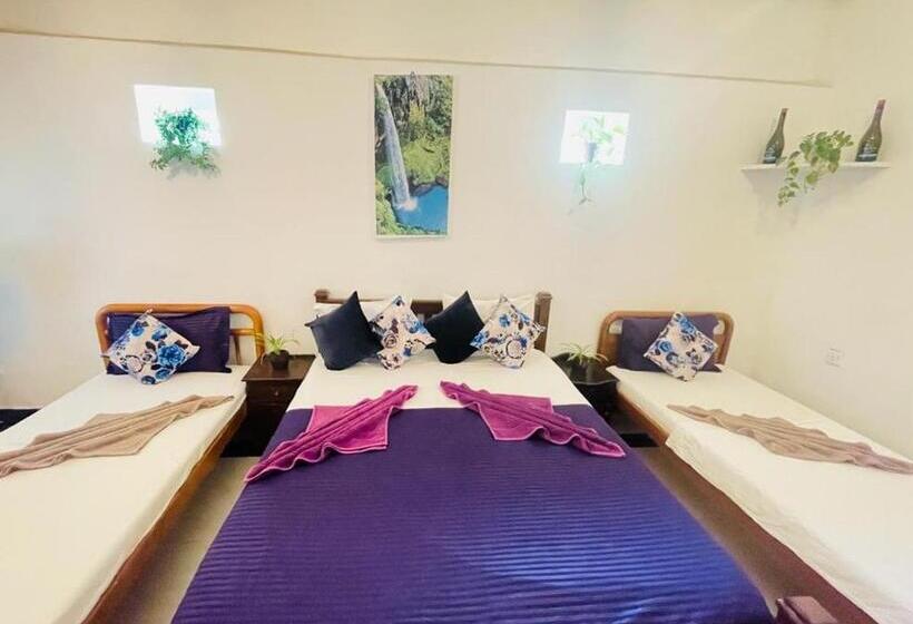 ペンション Winston Sea Front Villa