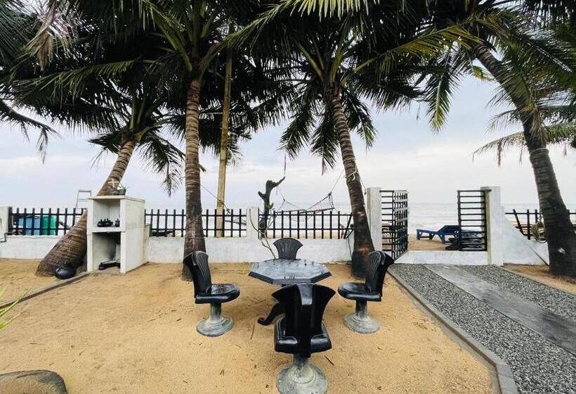 ペンション Winston Sea Front Villa