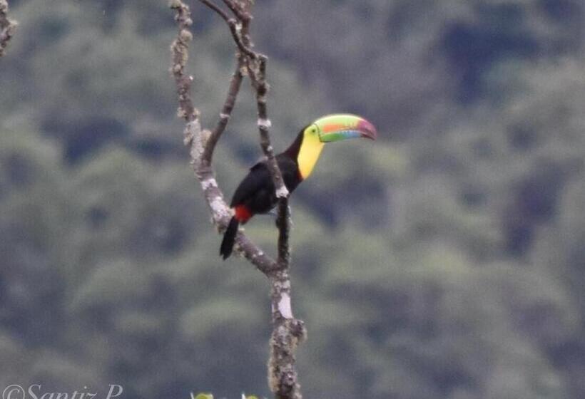 펜션 Loma Nevada Minca