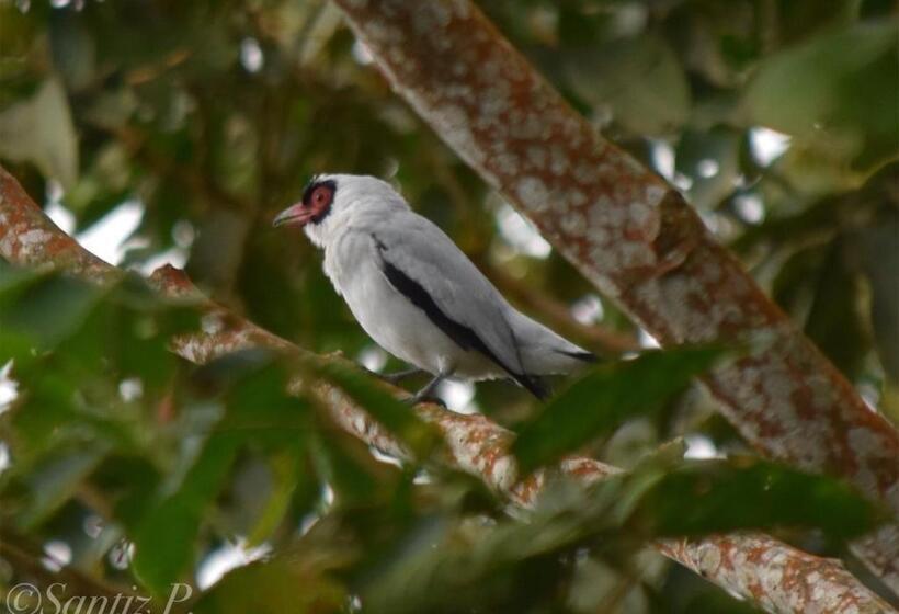 펜션 Loma Nevada Minca