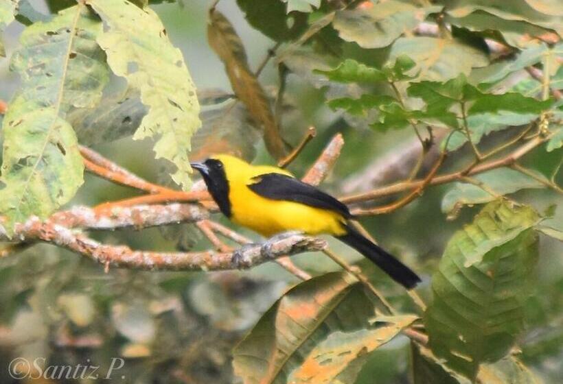 펜션 Loma Nevada Minca