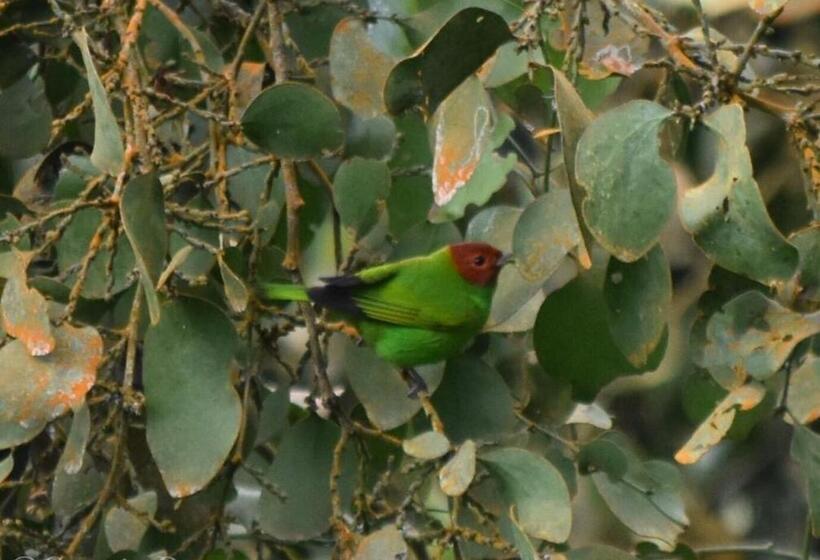 펜션 Loma Nevada Minca