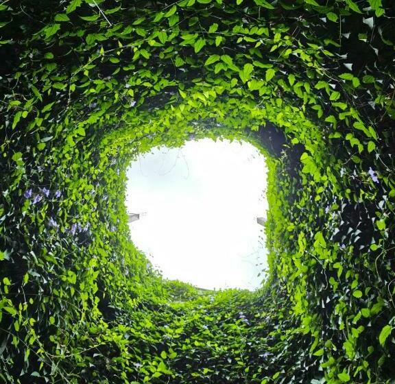 Pension (Hôtel basse catégorie) More Joy