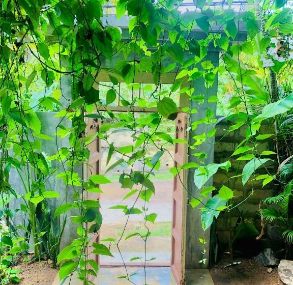 Pension (Hôtel basse catégorie) More Joy