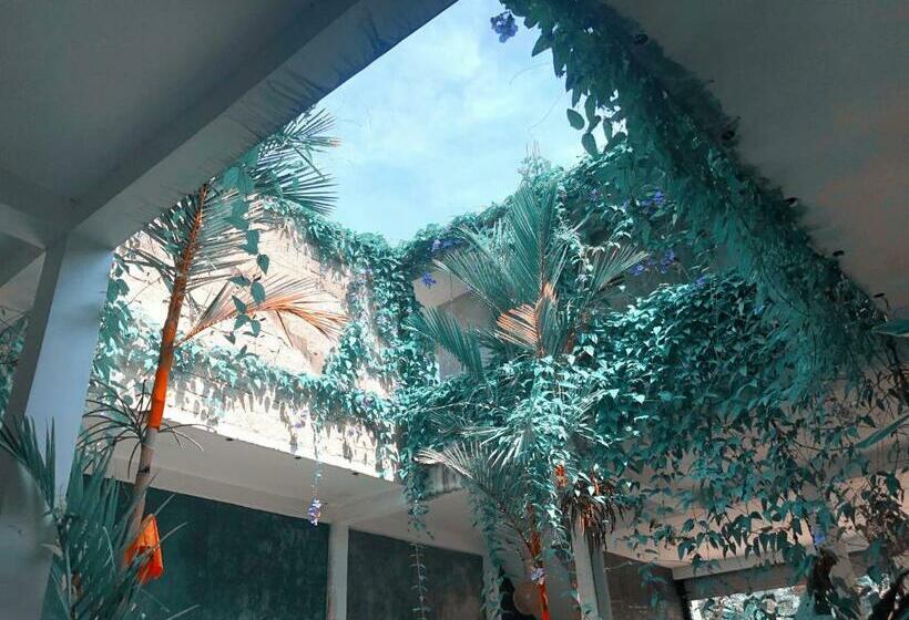 Pension (Hôtel basse catégorie) More Joy