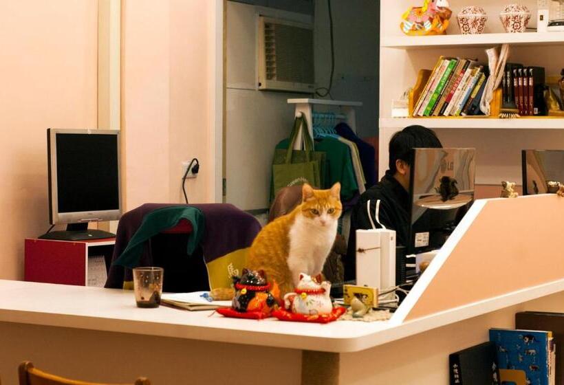 Bed and Breakfast 3 Feet Cat