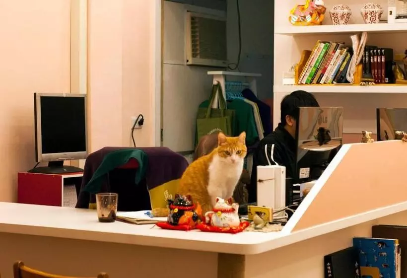 تختخواب و صبحانه 3 Feet Cat