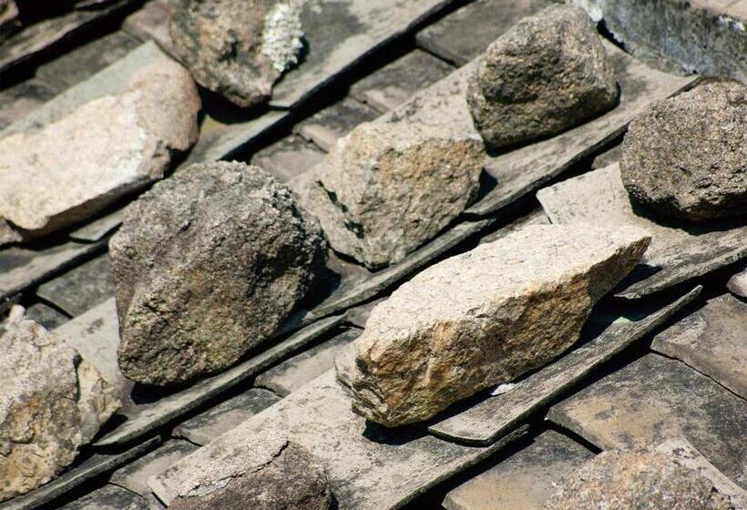 Bed and Breakfast 3 Feet Cat