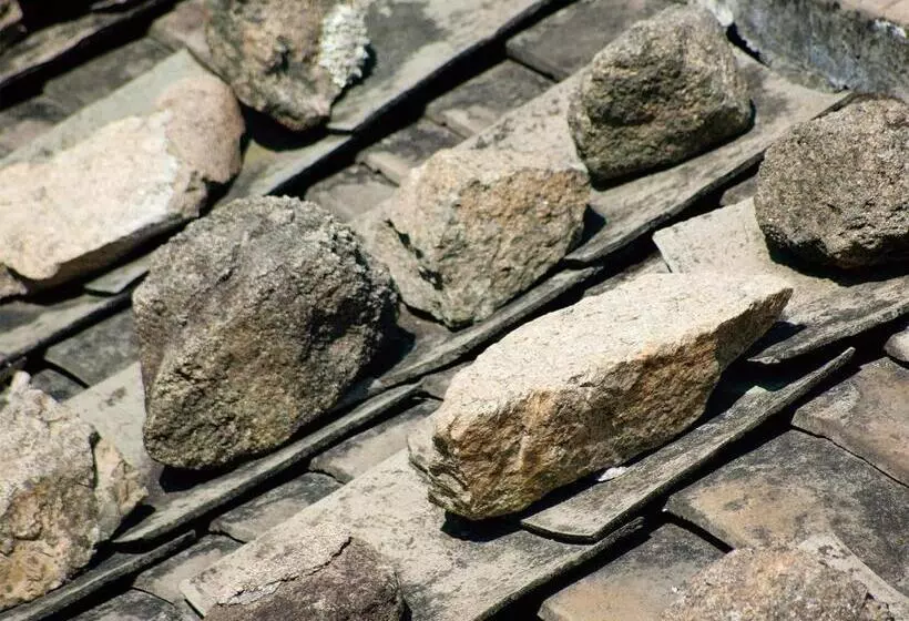 تختخواب و صبحانه 3 Feet Cat