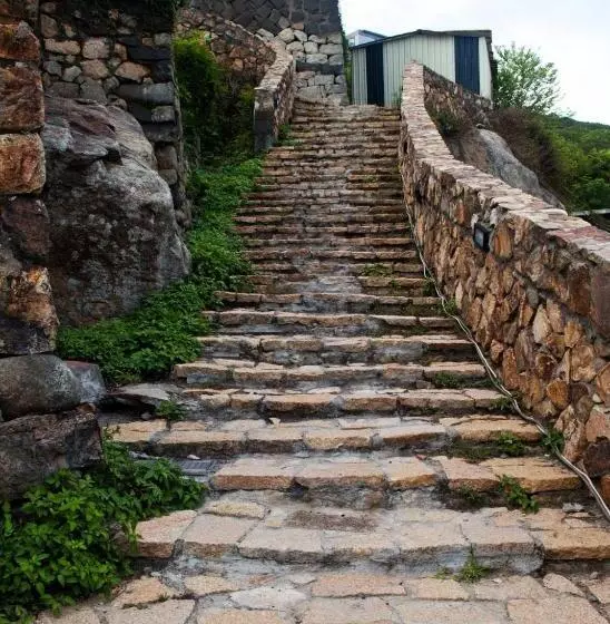 تختخواب و صبحانه 3 Feet Cat