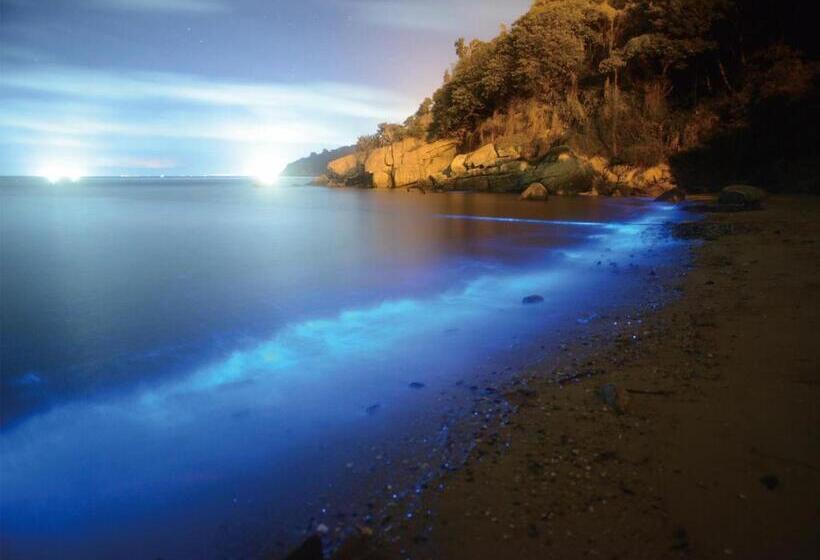 Bed and Breakfast 3 Feet Cat