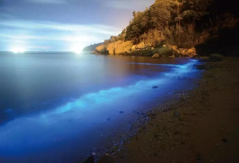 تختخواب و صبحانه 3 Feet Cat