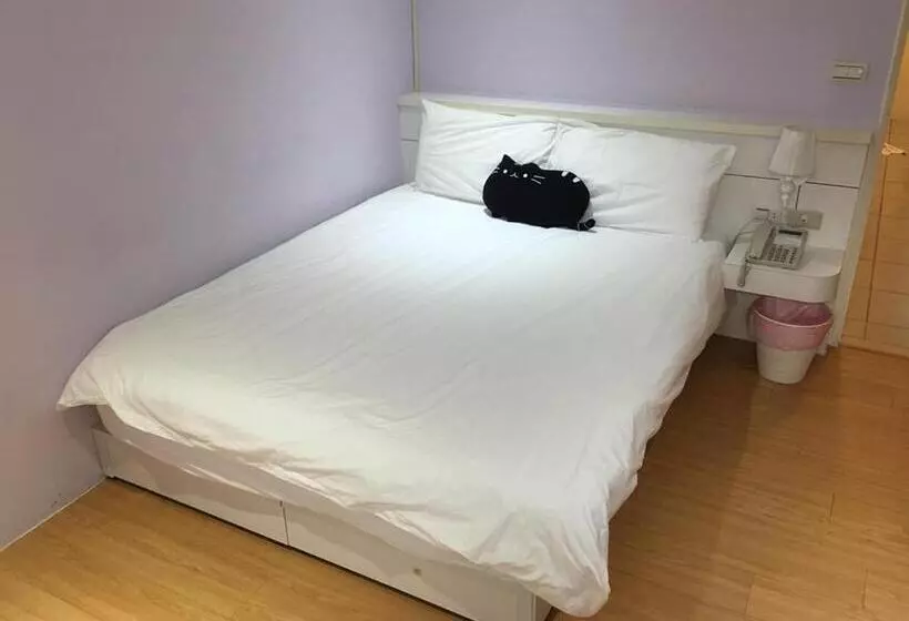 تختخواب و صبحانه 3 Feet Cat