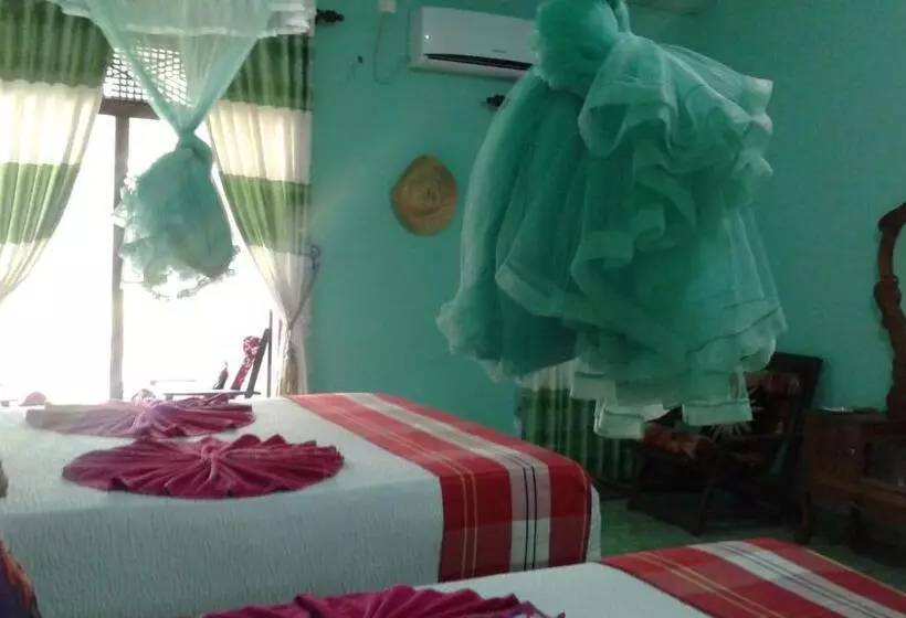 تختخواب و صبحانه Flower Inn