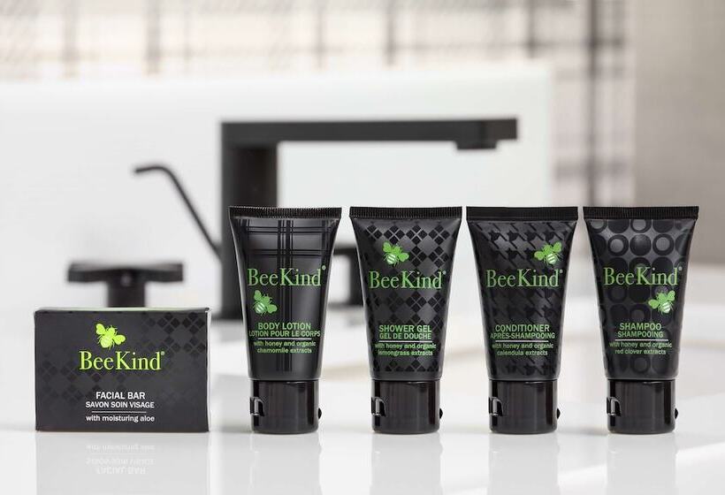 ホテル Hyatt Centric Mountain View