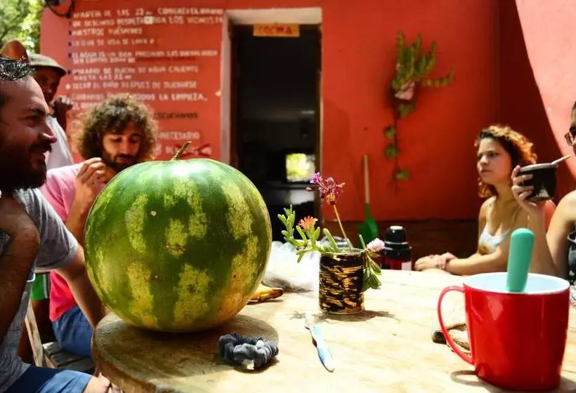ベッドアンドブレックファースト Casa Venus En Acuario