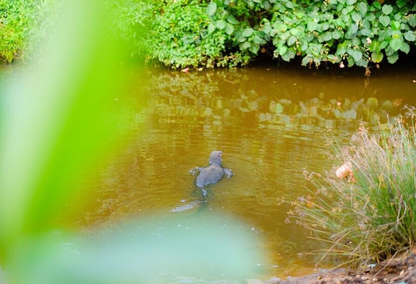 Odailem Resort  Talpe