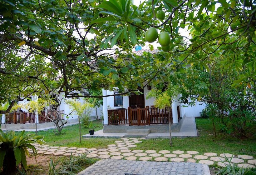 Odailem Resort  Talpe