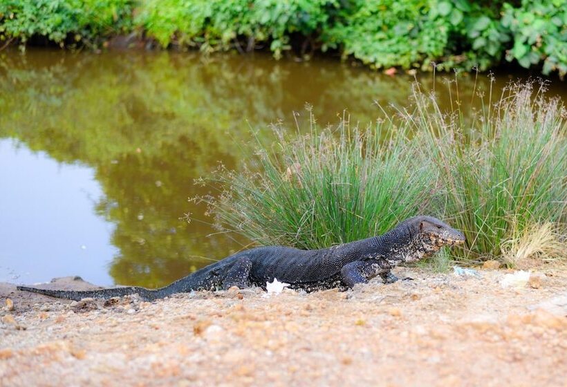 Odailem Resort  Talpe
