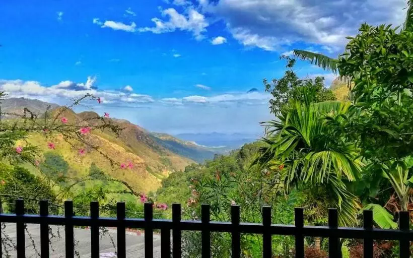 پانسیون Divine View Homestay