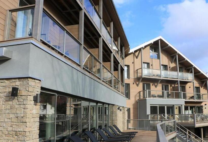 酒店 Hôtel Interlaken Lounge Bar & Spa