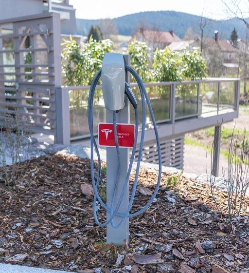 酒店 Hôtel Interlaken Lounge Bar & Spa