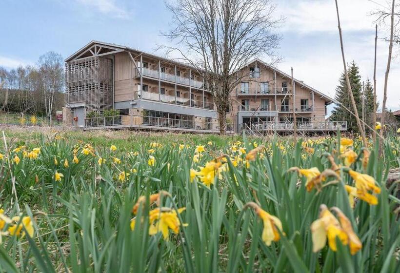 酒店 Hôtel Interlaken Lounge Bar & Spa