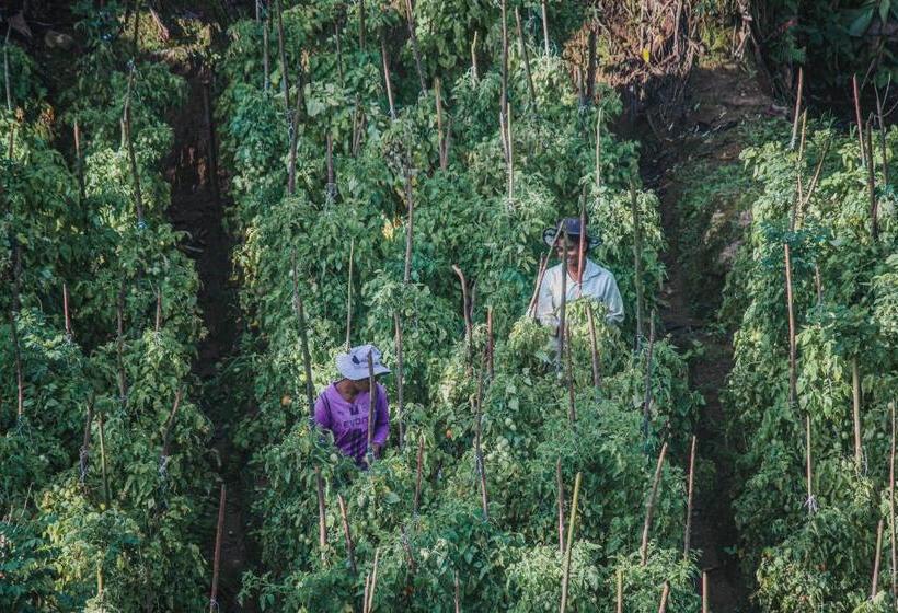 Hotel Levon Boutique