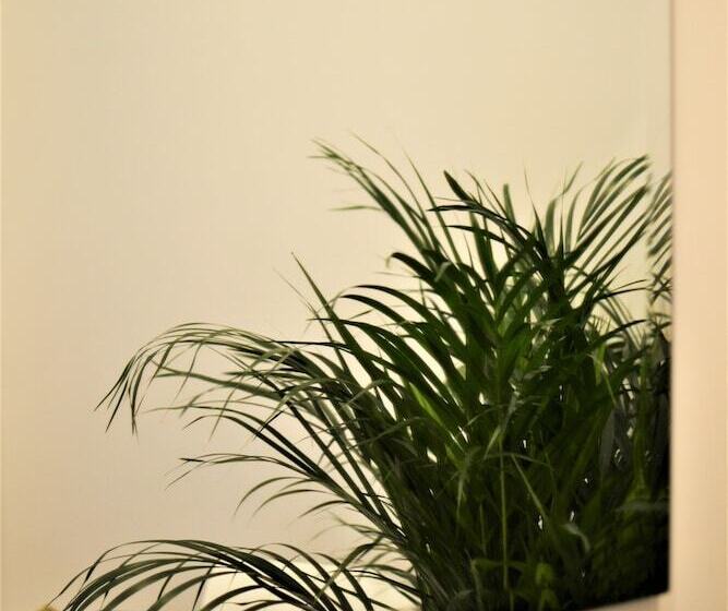 پانسیون Residenza Madonna